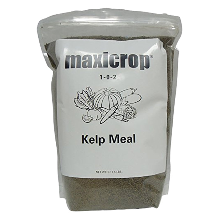 Maxicrop Kelpmeal, 5lbs