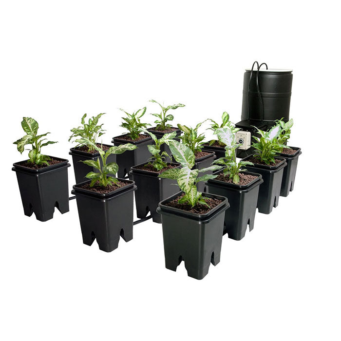 Active Aqua Grow Flow 12 Site Ebb & Flow Hydroponic System with 5 Gallon Growth Modules
