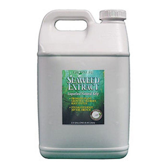 Grow More Seaweed Organic 11%, 2.5 Gallon