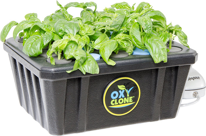 oxyCLONE Cloning System - 20, 40 & 80 Sites