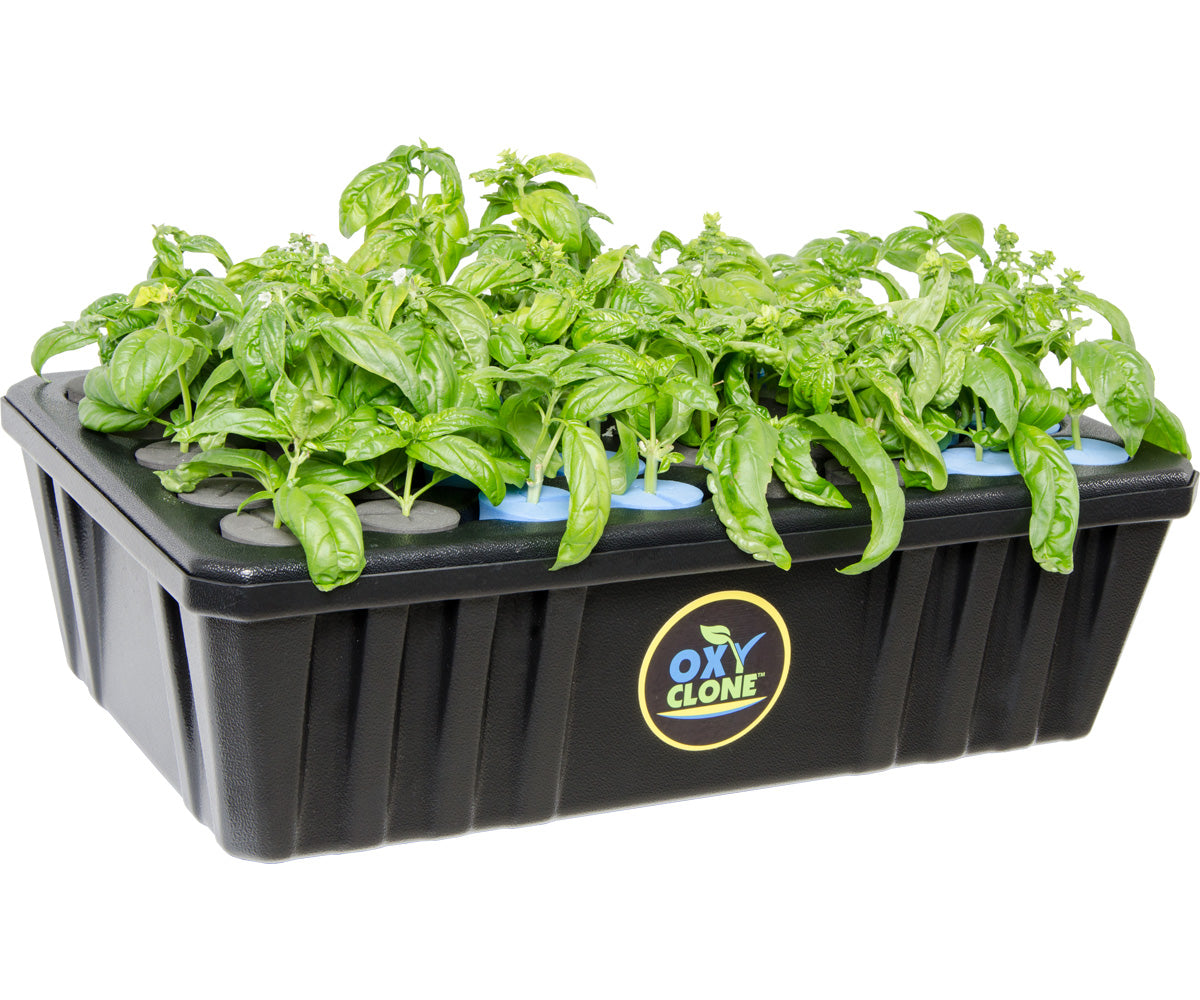 oxyCLONE Cloning System - 20, 40 & 80 Sites