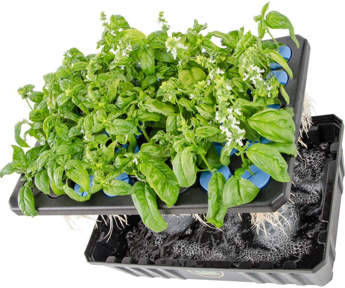 oxyCLONE Cloning System - 20, 40 & 80 Sites