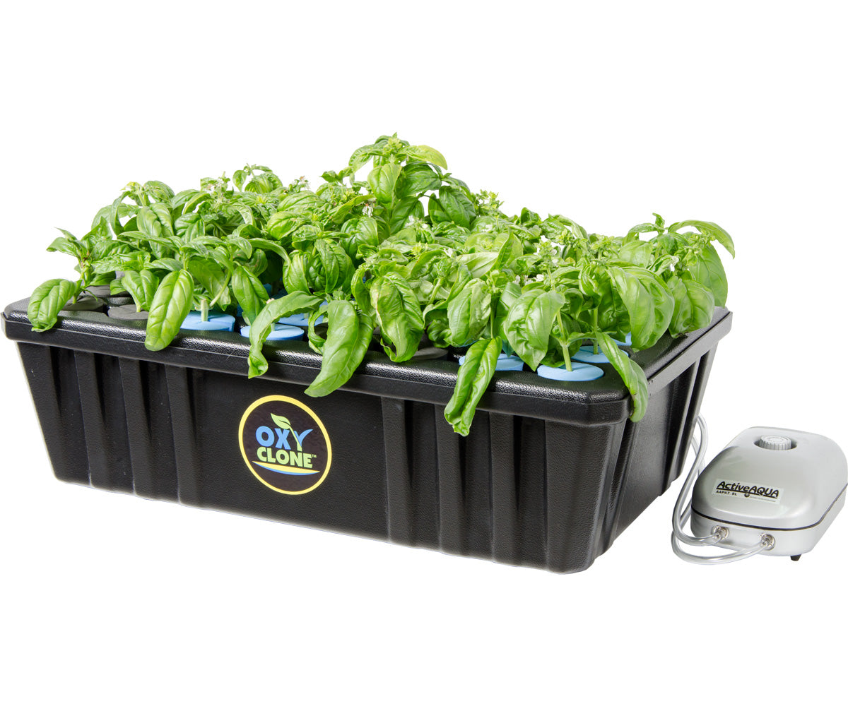 oxyCLONE Cloning System - 20, 40 & 80 Sites