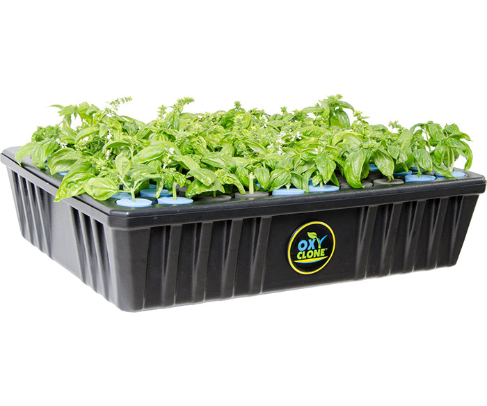 oxyCLONE Cloning System - 20, 40 & 80 Sites