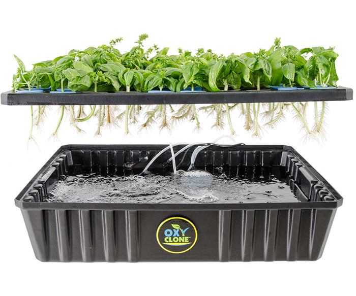 oxyCLONE Cloning System - 20, 40 & 80 Sites