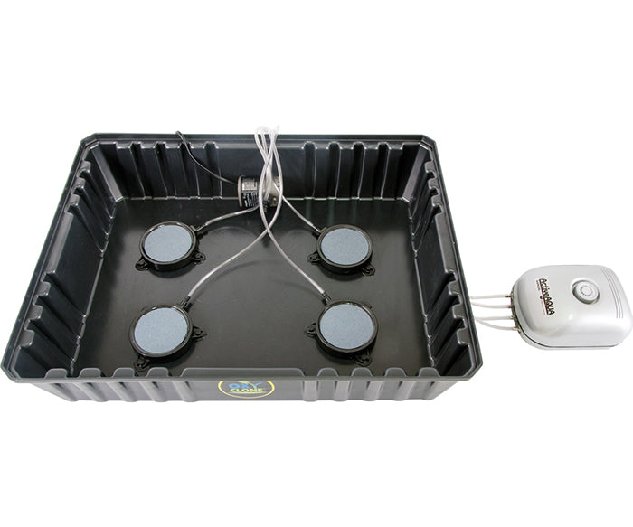 oxyCLONE Cloning System - 20, 40 & 80 Sites