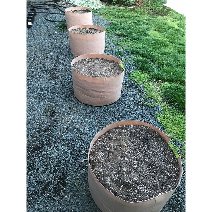 Gorilla Pot Premium Fabric Pots, Tan