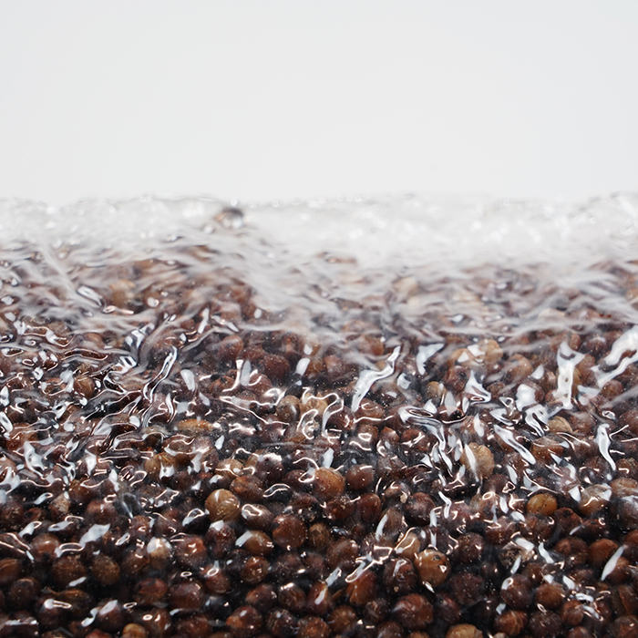 DL Wholesale SuperSpore Mushroom Grain Spawn Bag, 4 lbs