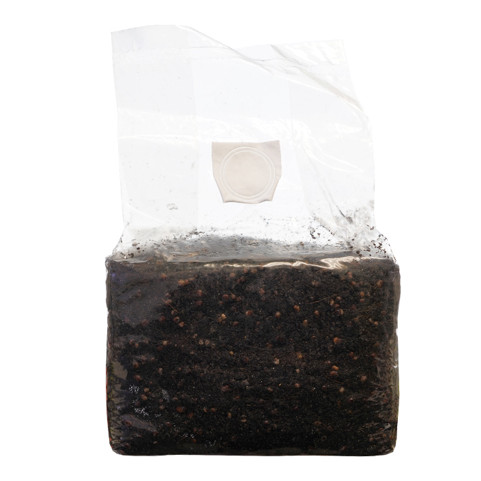 DL Wholesale SuperSpore All-In-One Mushroom Substrate Grow Bag, 7 lbs