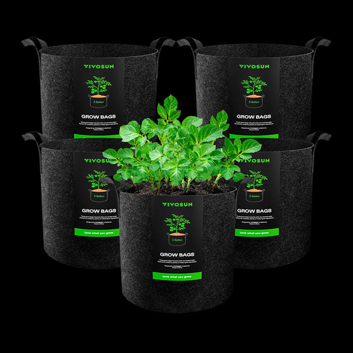 Vivosun Thick Nonwoven Fabric Pot with Handles, 3 Gallon, Pack of 5