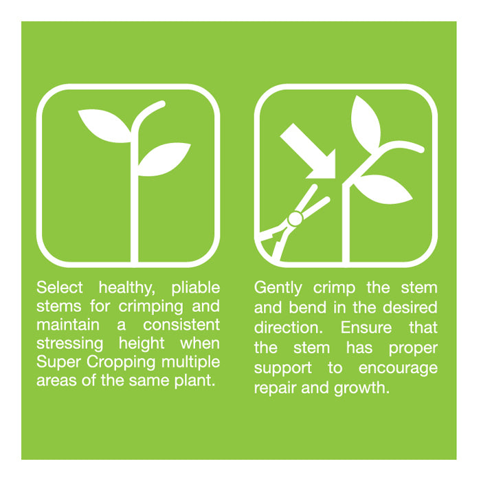 Grow1 Super Cropping Tool - Green