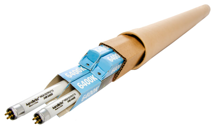 HydroFarm 54 Watt T5 Replacement Bulb, 4 Foot - 6,400K, Case of 4