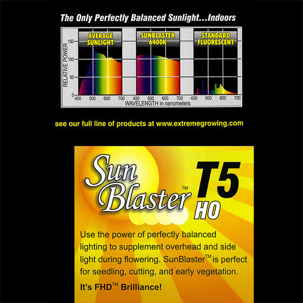 SunBlaster T5 HO 41 - 4 ft, 1 Bulb - 6400K