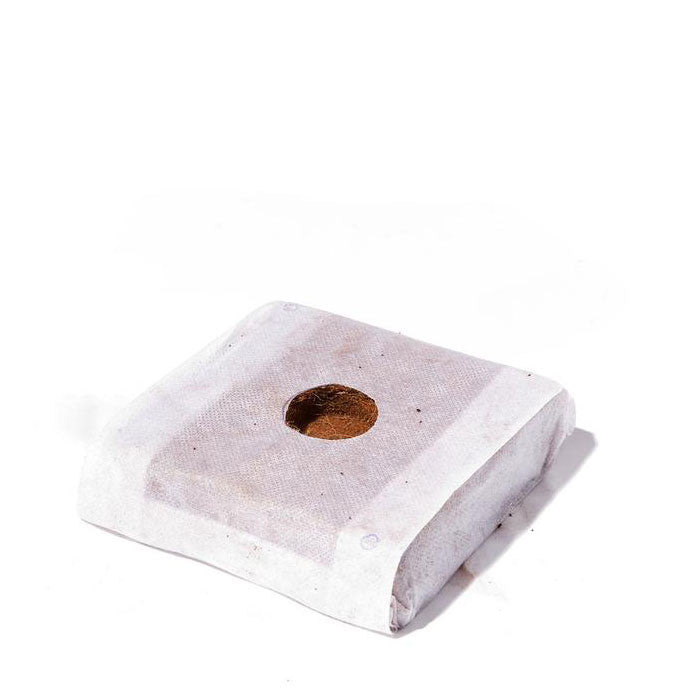 Char Coir Coco Cube RHP Certified Coco Coir, 2.25 Liter, Case of 32