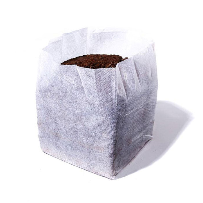 Char Coir BioPot, 2 Gallon, Case of 24