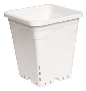 Active Aqua 12" x 12" Square White Pot, 12" Tall, Case of 24