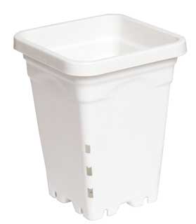 Active Aqua 5" x 5" Square White Pot, 7" Tall, Case of 100