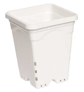 Active Aqua 6" x 6" Square White Pot, 8" Tall, Case of 50