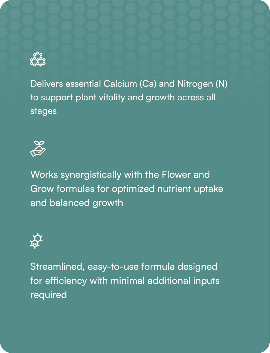 HGV Liquid - Base, 55 Gallon