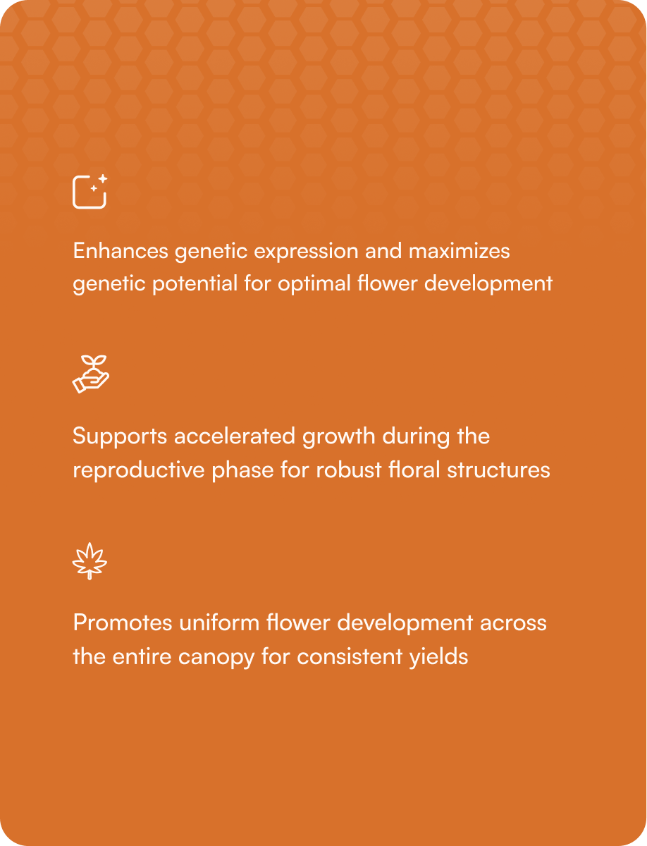 HGV Liquid - Flower, 2.5 Gallon