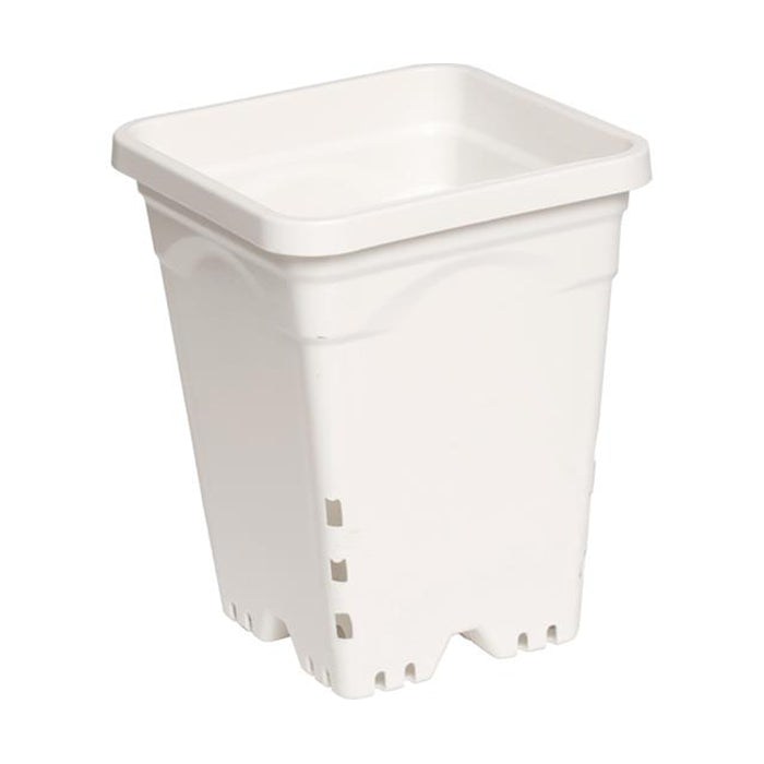 Active Aqua Square White Pots