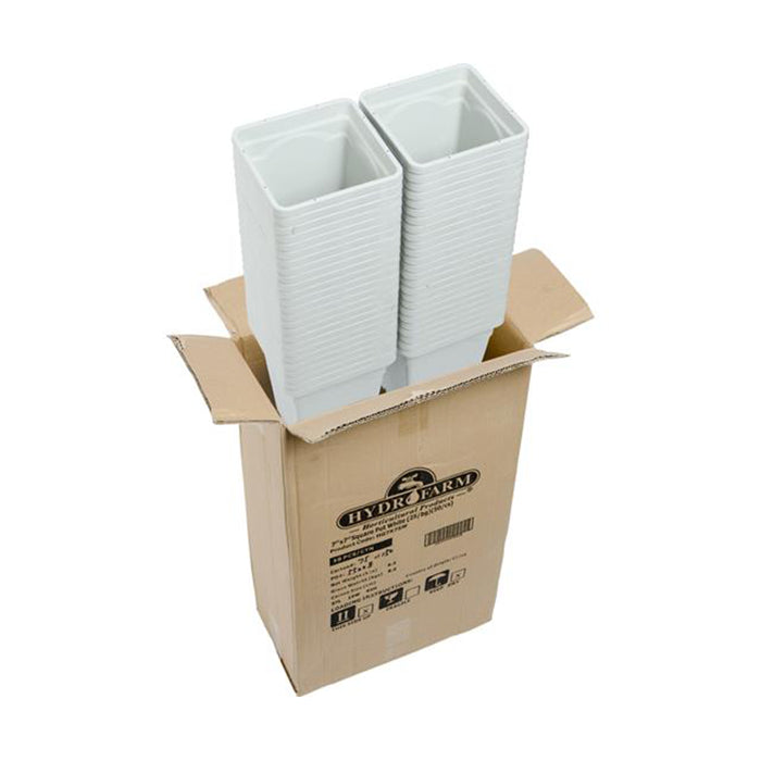 Active Aqua Square White Pots