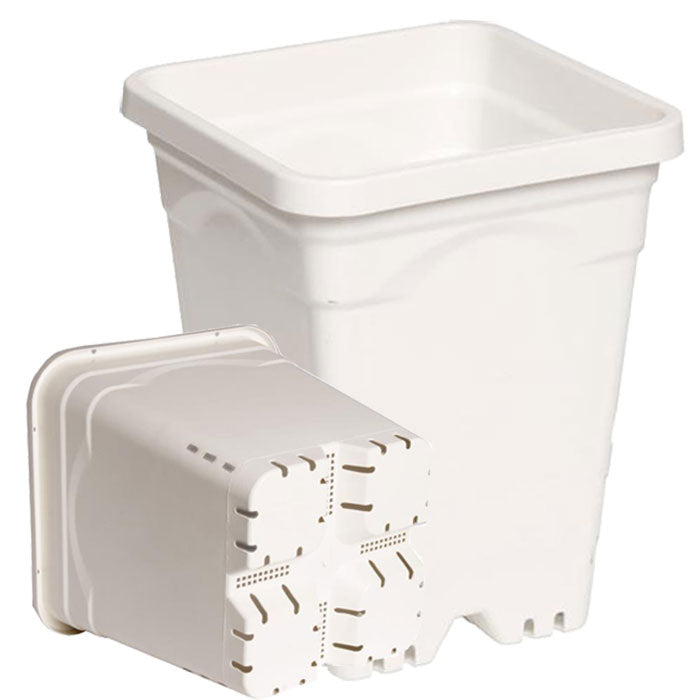 Active Aqua Square White Pots