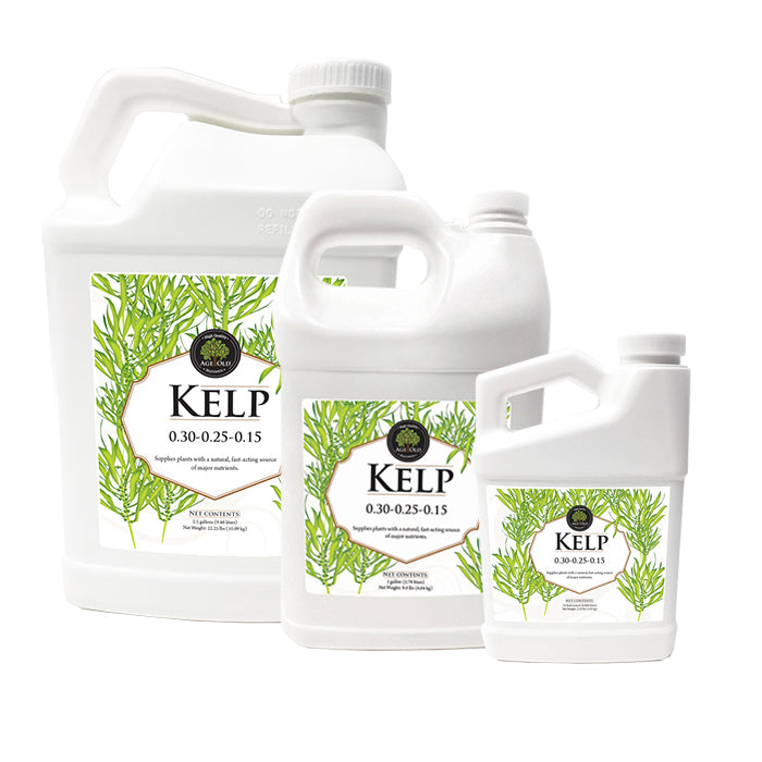 Age Old Nutrients Kelp