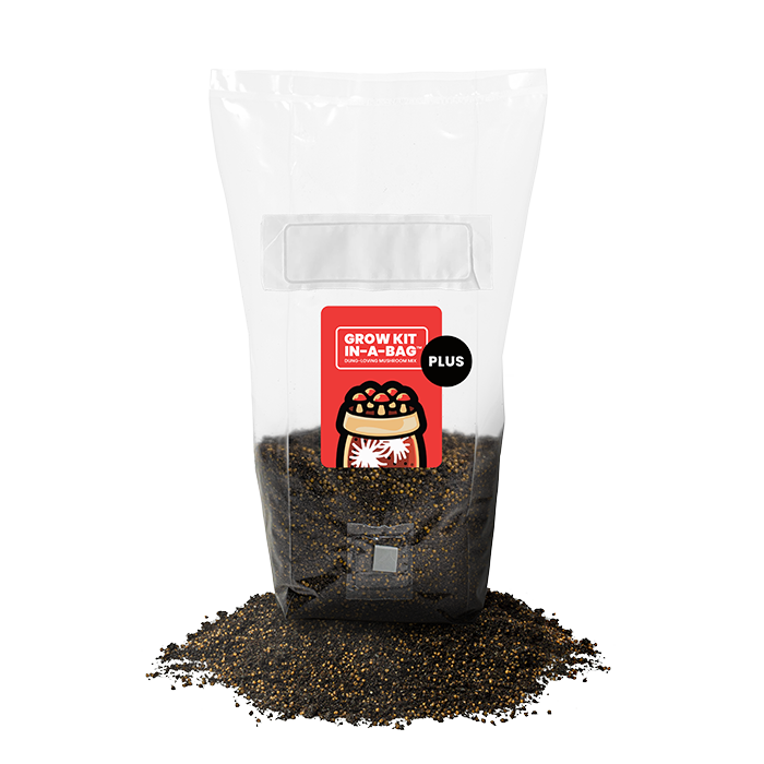 Mushroom Supplies All In One Mushroom Grow Kit In-A-Bag Plus, 5 lbs