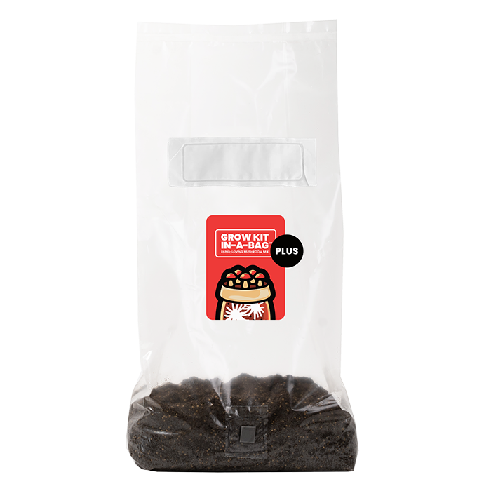 Mushroom Supplies All In One Mushroom Grow Kit In-A-Bag Plus, 5 lbs
