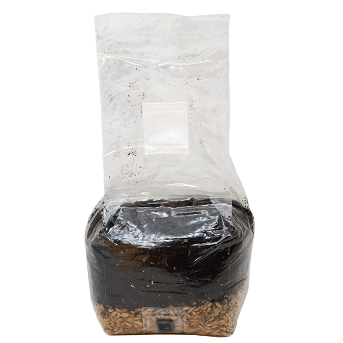 Monster Mushroom All-In-One Grow Bag 3 lb