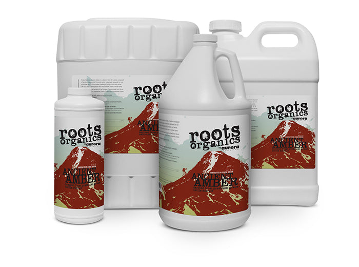 Roots Organics Ancient Amber, 1 Gallon