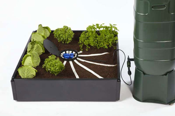 AutoPot AQUAbox Spyder - Wide Raised Beds & Allotments