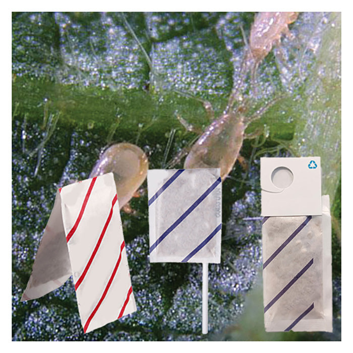 ARBICO Organics Amblyseius Cucumeris Beneficial Mites, Pack of 500 Mini Sachets With Hooks - 250 Per Sachet