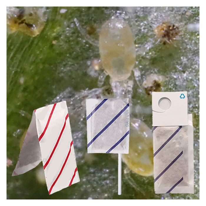 ARBICO Organics Neoseiulus Californicus Beneficial Mites, Pack of 500 Sachets With Hooks - 250 Per Sachet