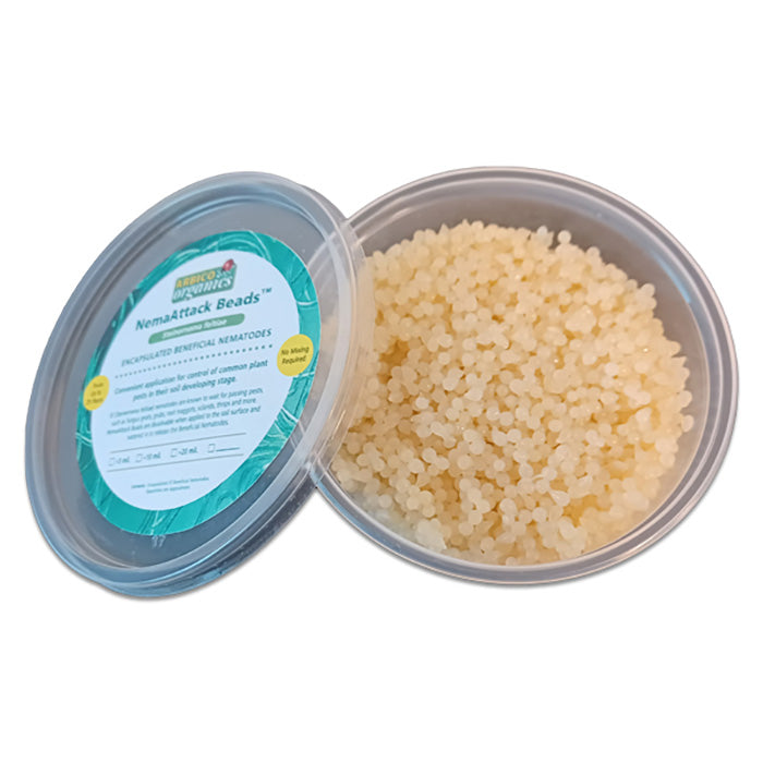 ARBICO Organics NemAttack Beads Steinernema Feltiae (Sf) Beneficial Nematodes, Pack of 10 Million