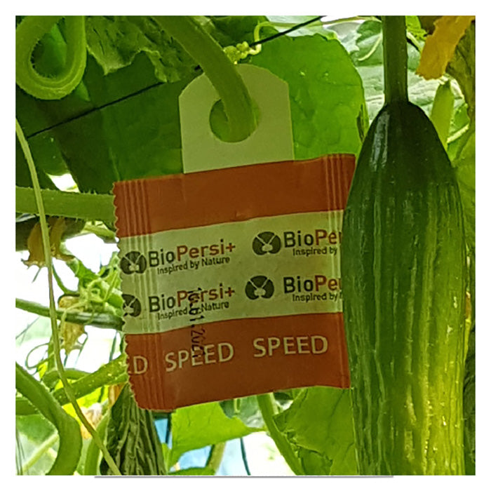 ARBICO Organics Phytoseiulus Persimilis PLUS RAPID Beneficial Mites, Pack of 100 Sachets With Hooks - 100 Per Sachet