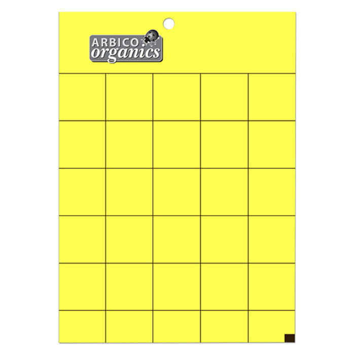 ARBICO Organics YELLOW Pest Insect Traps, 5 Inch x 7 Inch - Pack of 100