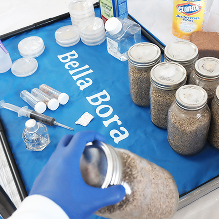 Bella Bora Still Air Box V1