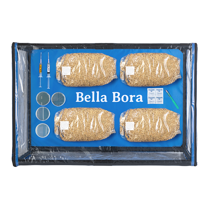 Bella Bora Still Air Box V1