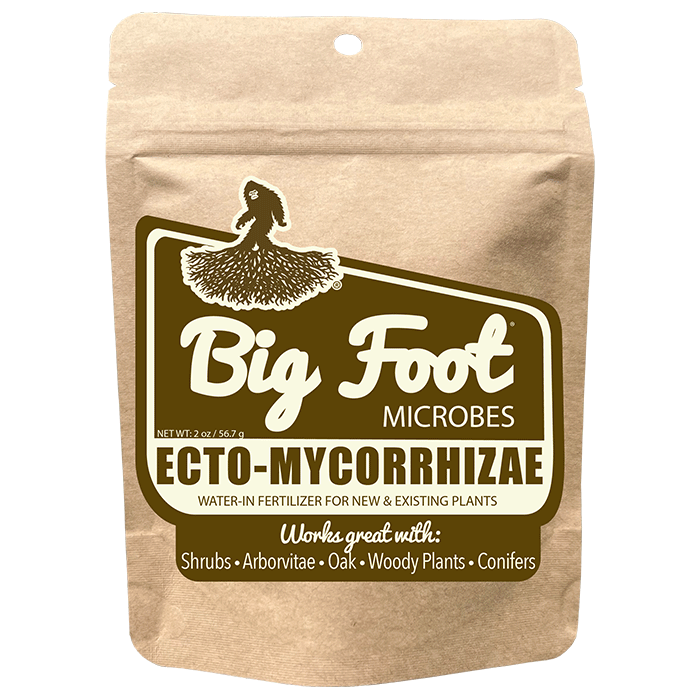 Big Foot Mycorrhizae Ecto-Mycorrhizae