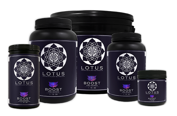 Lotus Pro Series Boost