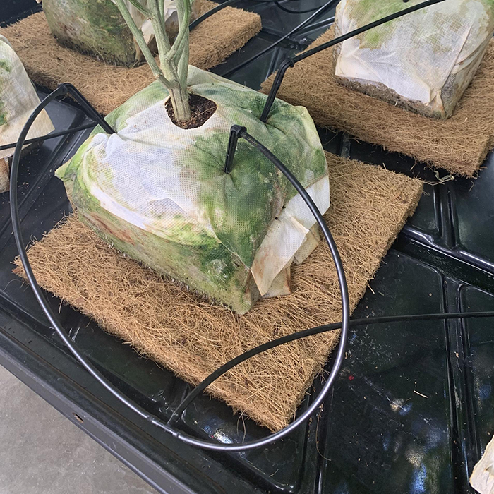 The Coco Depot GroMat - 4 ft. x 4 ft. x 1 in. Coco Grow Mat - Pack of 100