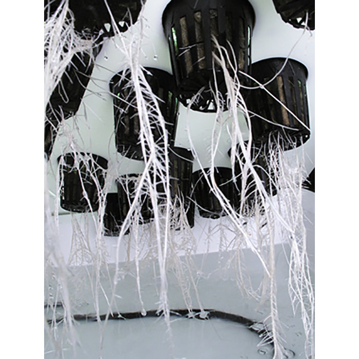 Super Closet SuperCloner Cloning Machine