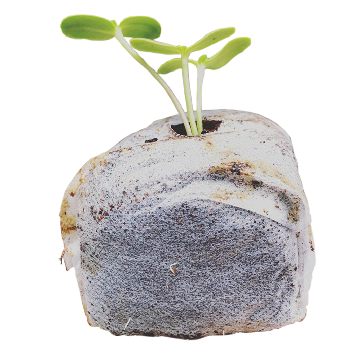 The Coco Depot GroEzy Coco Grow Cubes