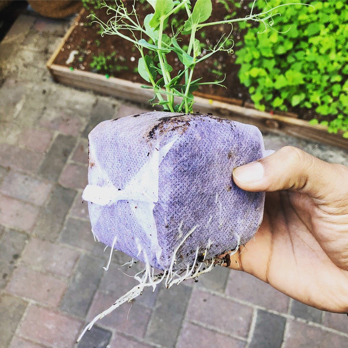 The Coco Depot GroEzy 6" Coco Grow Cube - Pack of 32