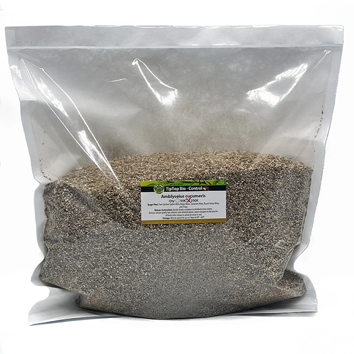 Tip Top Bio-Control Amblyseius Cucumeris Beneficial Mites