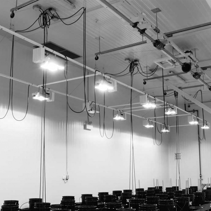 Lift And Grow Custom Motorized Adjustable Grow Light Mover With Hang Bar