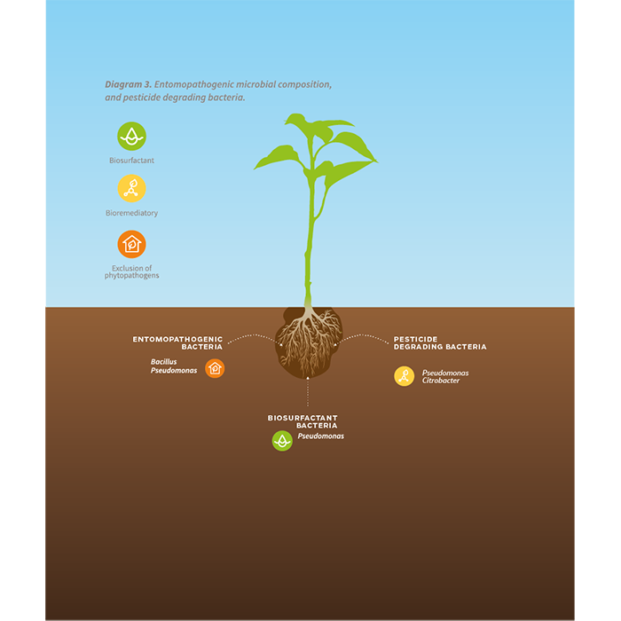 LIVENTIA SOS Beneficial Bacteria