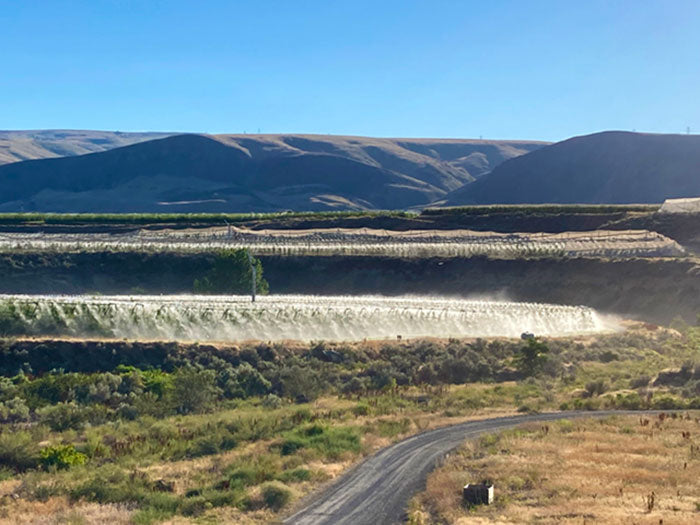 DIG EXL Series 500 Fogger Head, Press Fit - Pack of 200